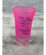 Chicago Navy Pier - &quot;Who Let The Girls Out&quot; Pink Shot Glass - $99.98