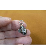 x260-21) 4.6g Campo del Cielo meteorite natural shape space pendant iron... - $44.73 CAD