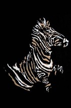 Zebra by Norma Kramer - Art Print - £17.57 GBP+