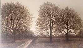 Etching Hand-colored Sarah Rishel Signed &quot;Beckoning Pain&quot; 91/150 - $1,386.60 MXN
