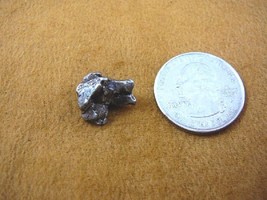 (x262-41) 4 g Campo del Cielo iron meteorite 1576 shrapnel fragments spe... - £9.56 GBP