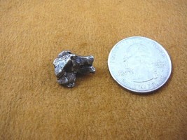 (x262-41) 4 g Campo del Cielo iron meteorite 1576 shrapnel fragments spe... - $12.19