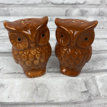Owl Brown Salt &amp; Pepper Shakers Hoot Fall Thanksgiving Ceramic Hand Painted - £9.60 GBP