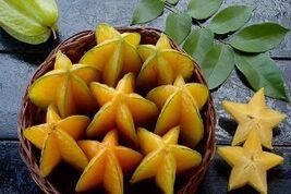 Item image 1 image 1