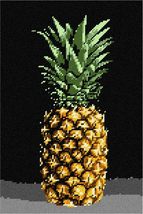 Pepita Needlepoint kit: Pineapple Still Life, 8&quot; x 12&quot; - $86.00+