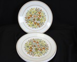 Corelle Indian Summer Dinner Plates 10.25&quot; Lot of 7 - $27.43