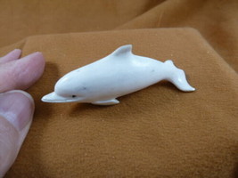 Dolph-w34 white Albino Dolphin of shed ANTLER figurine Bali detailed car... - £37.40 GBP