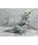 Jurassic World Indominus Rex Lights and Sound Dinosaur Toy Gray Hasbro  - £29.82 GBP
