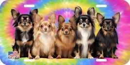 POMERANIAN DOG DOGS ASSORTED CAN PERSONALIZE NOVELTY METAL LICENSE PLATE K - £7.05 GBP+