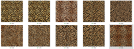 Item image 15