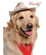 Howdy! - Hello Greeting Card - 00788 - $2.79