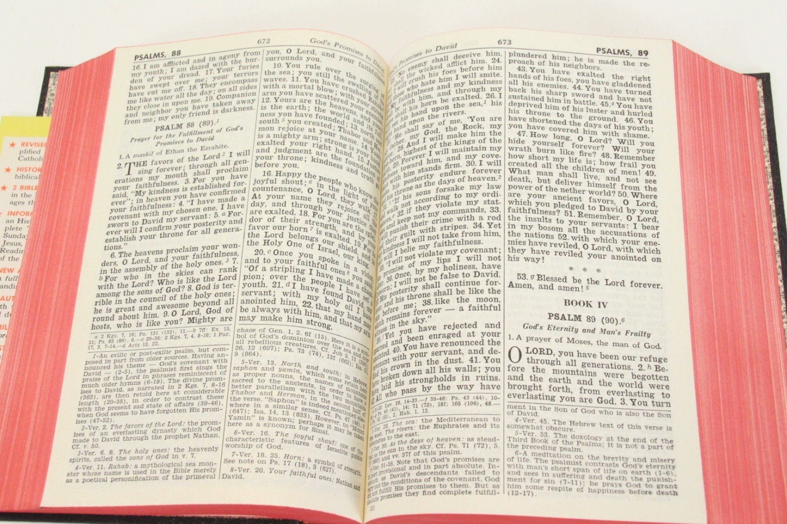 Holy Bible New Catholic Edition 1957 Confraternity Douay Version Large Type Item image 12