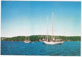 Nova Scotia Postcard Sailing Popular Pasttime - $2.96