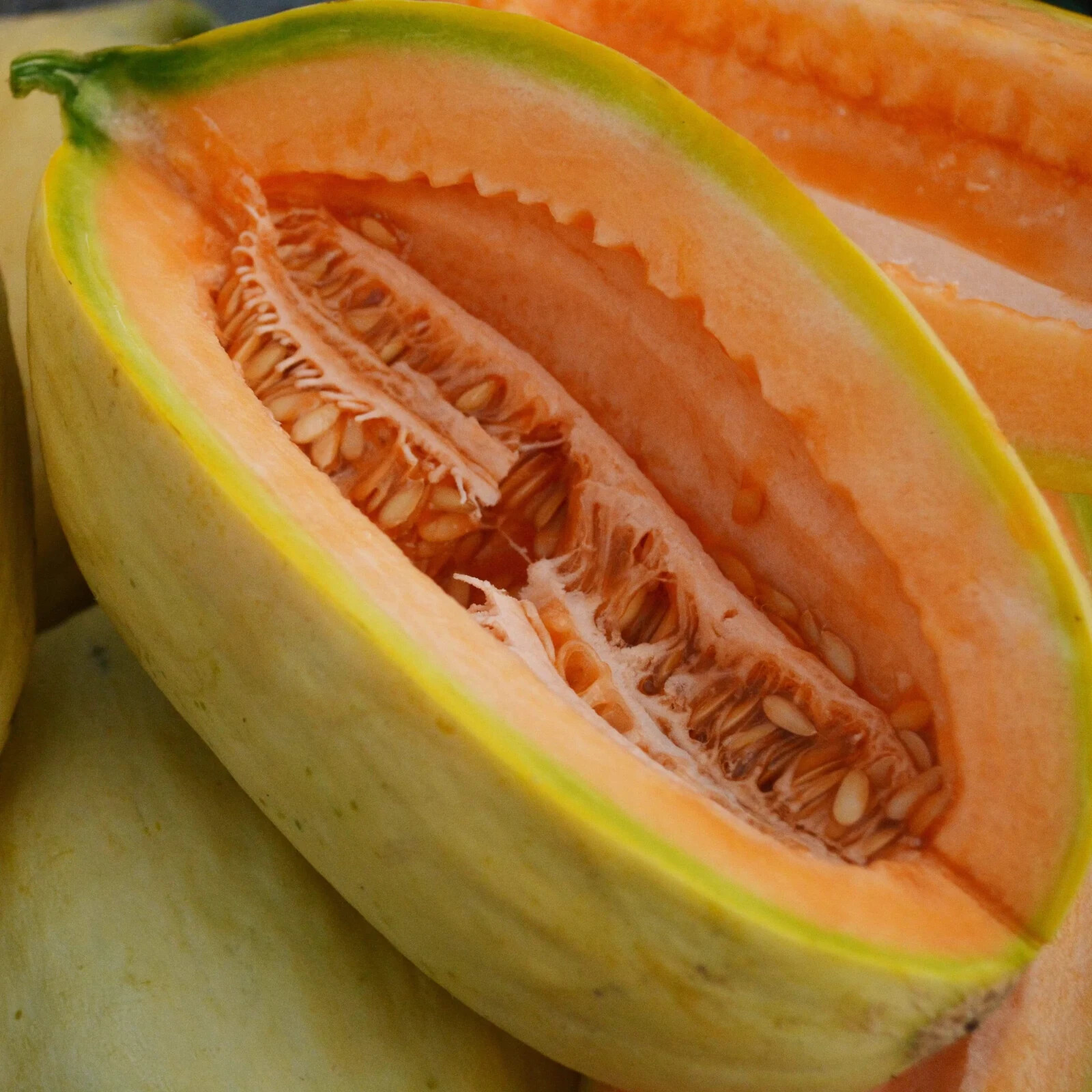 30+ Banana Melon Seeds, Banana Cantaloupe, Aromatic, NON-GMO, FREE SHIPP... - $2.19
