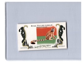 2010 Topps Allen &amp; Ginter Mini National Animals NA46 Ring Tail Lemur - £1.17 GBP