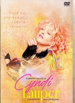 DVD Duplo Cyndi Lauper Live in Hollywood Bowl - (2 discs) - $30.00