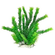 Aquatop Cabomba Aquarium Plant with Weighted Base Green 1ea/12 in - £11.80 GBP