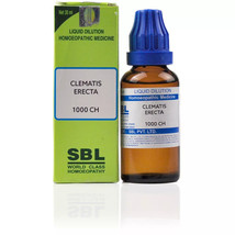 SBL Clematis Erecta 1000 CH (1M) Dilution 30ml - £6.34 GBP