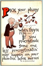 HH Leonard Quote Pick Your Plums When They&#39;re Ripe Comic DB 1908 Postcard H5 - £5.41 GBP