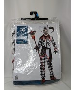 Sinister Jester Halloween Costume Childs Sz Large 12-14 Suit Yourself Co - $21.95