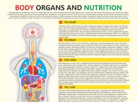 Body Organs and Nutrition, Organ Functions, digital download, PDF file - £3.16 GBP