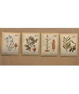 Stamp- Argentina 1979 Set of 4 Plants SC1236-9 Mi1387-90 MNH Olive Tea - €2,42 EUR