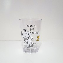 NEW RARE Pottery Barn Kids Peanuts Snoopy + Woodstock Thankful for Frien... - $16.99