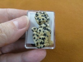 (ann-cat-8) spotted jasper Cat gemstone carving PENDANT necklace Fetish ... - $12.19