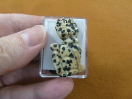 (ann-cat-8) spotted jasper Cat gemstone carving PENDANT necklace Fetish ... - $232.05 MXN