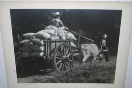 DOWN MEXICO WAY ~ SILVER GELATIN PHOTO PHOTOGRAPH SIGNED GENE B ALBERTS - £35.45 GBP