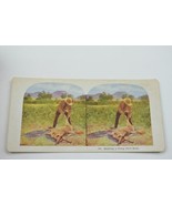Antique Stereoview Card No. 434 Skinning A Prong Horn Buck Vintage Colle... - £9.86 GBP
