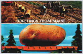 Postcard Giant Potato on Flatbed Greetings From Maine ME harvest - £3.42 GBP