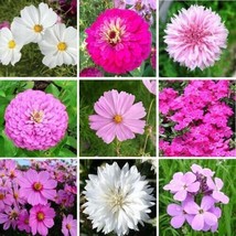 Wildflower Mix Tickled Pink Heirloom Pink Flowers Zinnias  300+ Pureseeds - £9.06 GBP