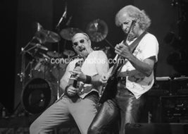 Jethro Tull - Ian Anderson and Martin Barre - 8x10 BW Photograph - $14.69