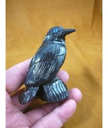 (Y-BIR-RA-313) BLACK RAVEN CROW Onyx carving PERU figurine bird Noir ravens - $519.64 MXN