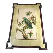 Vintage Framed Large Wall Art Parrot Bird Picture Tropical Decor Wood 21X15 READ - £97.75 GBP