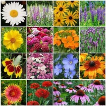 Wildflower Mix 37 VARIETIES Heirloom Flowers 27 Perennials Non-GMO 1000 Seeds - £6.50 GBP