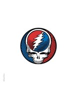 Medium Size 3 inch Grateful Dead SYF  Outside Sticker  Deadhead  Car Decal - $5.41 CAD