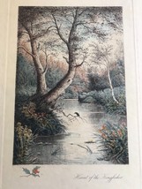 HAND COLORED FELIX ROSENSTIEL LITHOGRAPH ART HAUNT OF THE KINGFISHER ENG... - $126.23