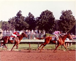 DVD - AFFIRMED &amp; ALYDAR&#39;s 1978 TRAVERS STAKES - Dual Televised Broadcasts!! - £31.45 GBP