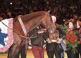 Dvd   Cigar&#39;s Dubai World Cup &amp; Madison Square Garden Farewell Ceremony!! - £29.89 GBP