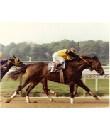 DVD - FOREGO 19 Entire RACES/RETIREMENT Time Capsule-2 HRS w/KELSO BONUS Footage - $39.99