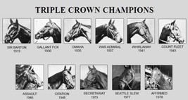 DVD - RUN for the CROWN: The HISTORY of the 11 TRIPLE CROWN Winners!! - £27.56 GBP