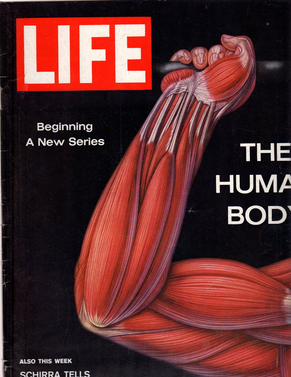 Life Magazine  October 26, 1962 - $12.00