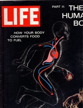 Life Magazine,  December 7,1962 - $12.00