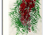 Pepper Tree Branch and Berries California CA UNP UDB Postcard T21 - $3.56