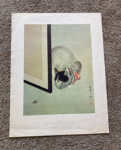 Cat Watching A Spider Japanese Art By Toko Art Print - £23.49 GBP