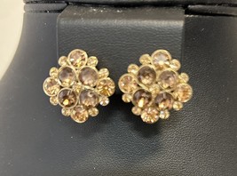 Vtg Champaigne Brown Costume Earrings Screw Back Clip On J321 - $14.84