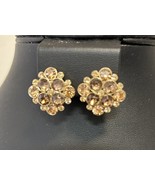 Vtg Champaigne Brown Costume Earrings Screw Back Clip On J321 - $282.52 MXN