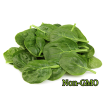 500 Seeds Giant Noble Spinach Non-Gmo Heirloom - $14.00